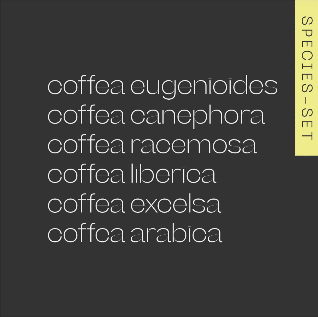 A.M.O.C. - Rare Species Set (taste 6 rare coffee species)