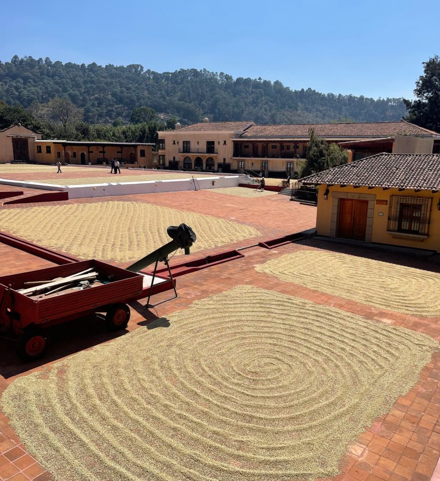 Guatemala Filadelfia