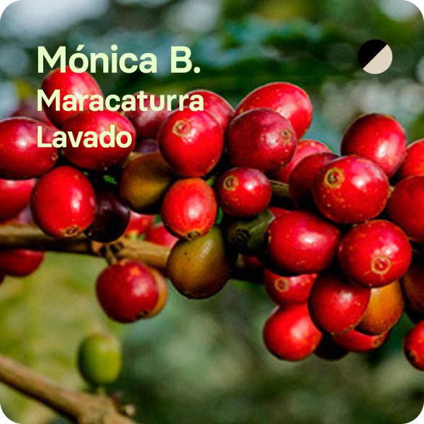 Mónica Berdugo, Colombia