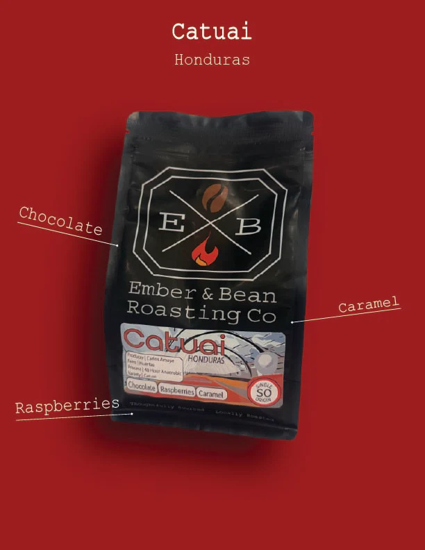 Catuai - Finca la Joya