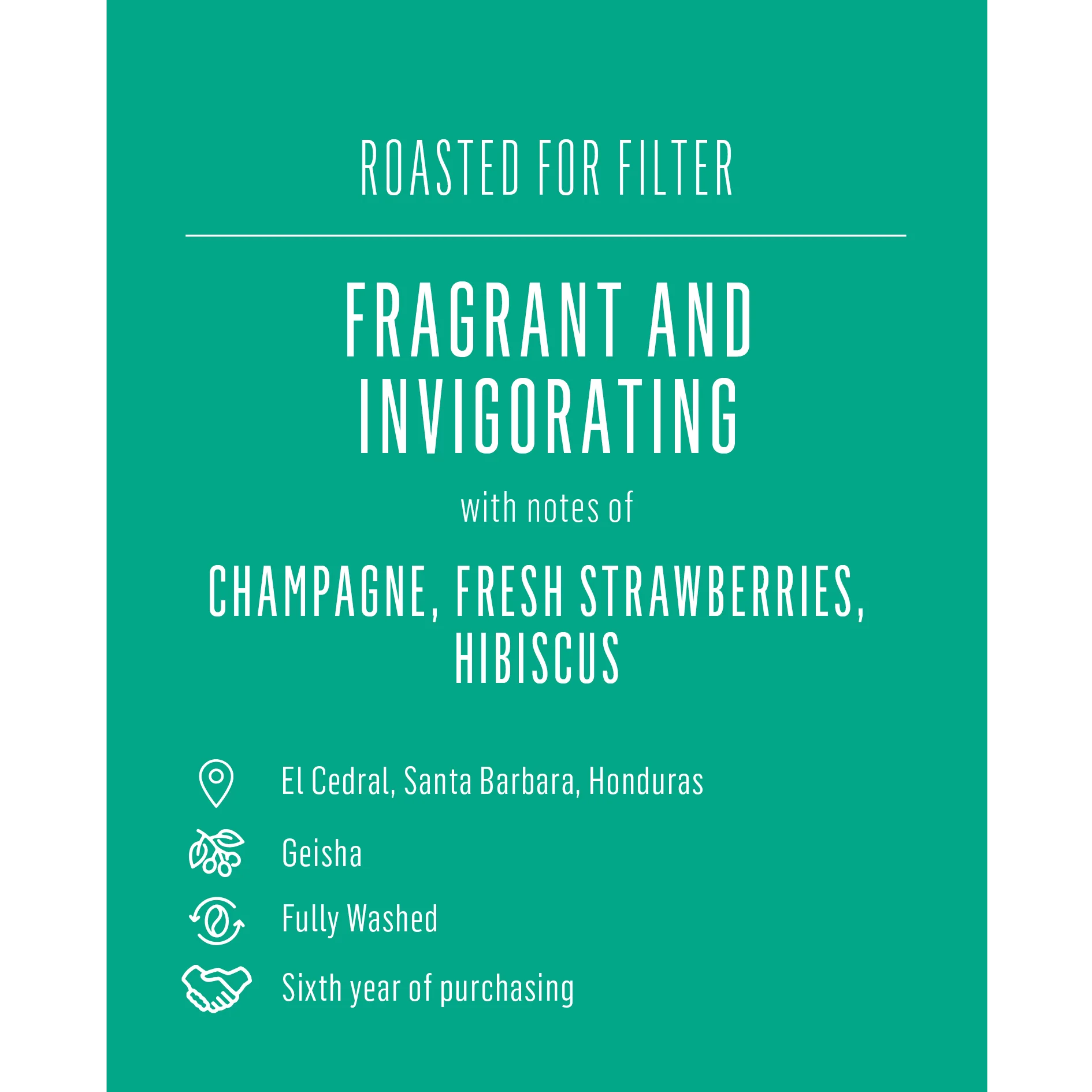 Evin Moreno Geisha, Honduras