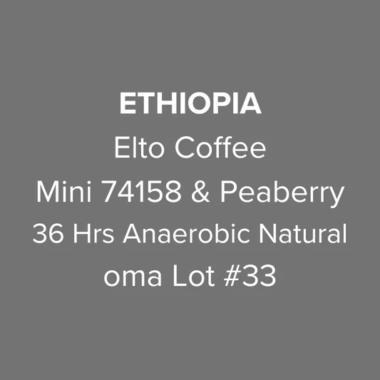 Ethiopia Elto Coffee Sidama Elora Station Mini 74158 & Peaberry 36 Hours Anaerobic Natural oma Lot #33