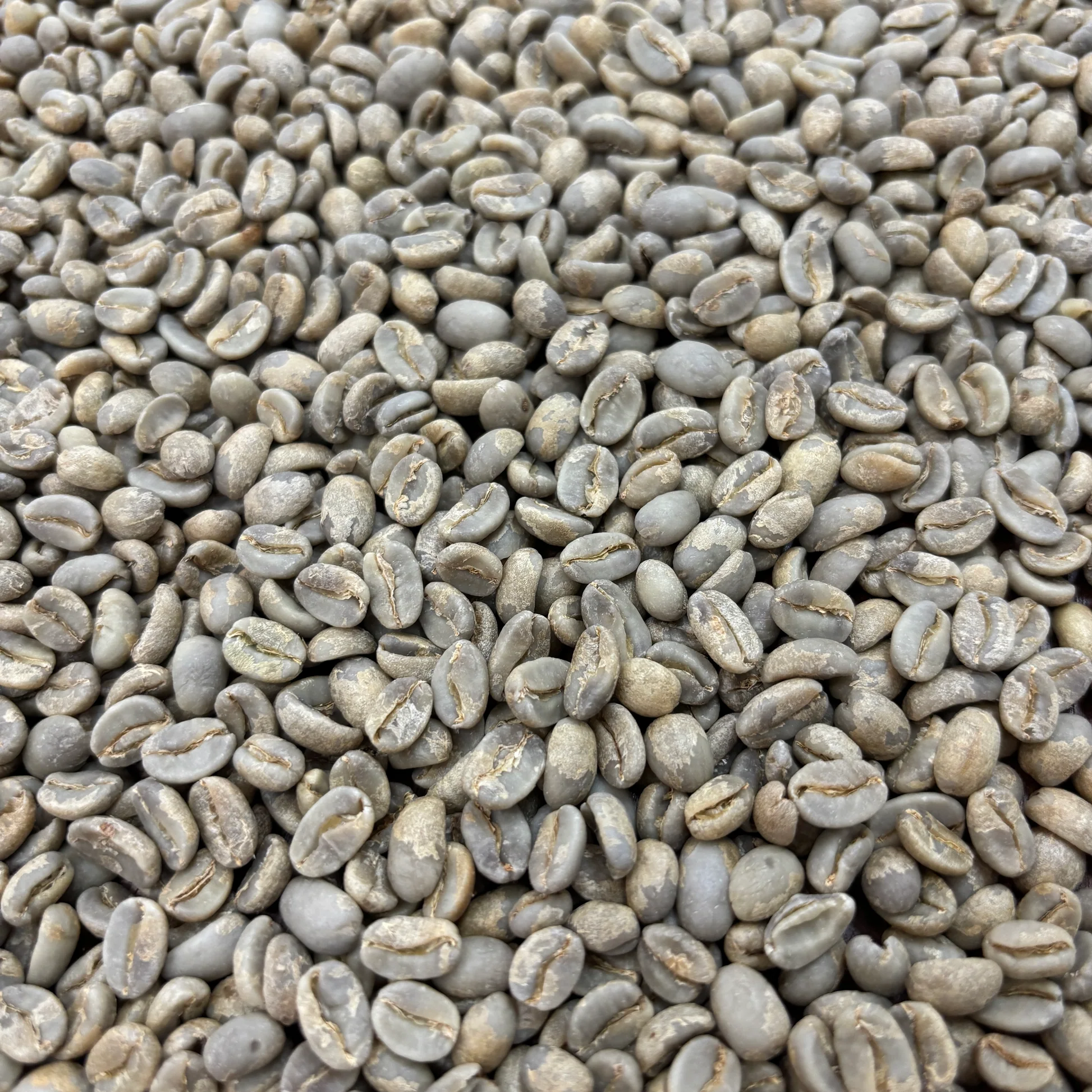 El Romerillo - Peru, washed - Coffee from ... | Every Coffee