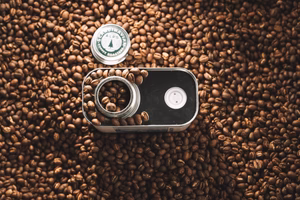 X Salomon TRAIL BREW