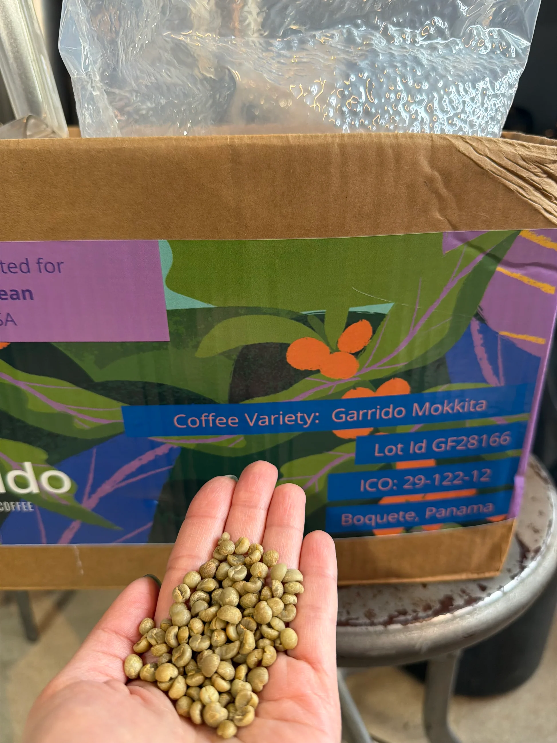 Picolot #9: Hella* Charming - Garrido Mokkita Natural DRD