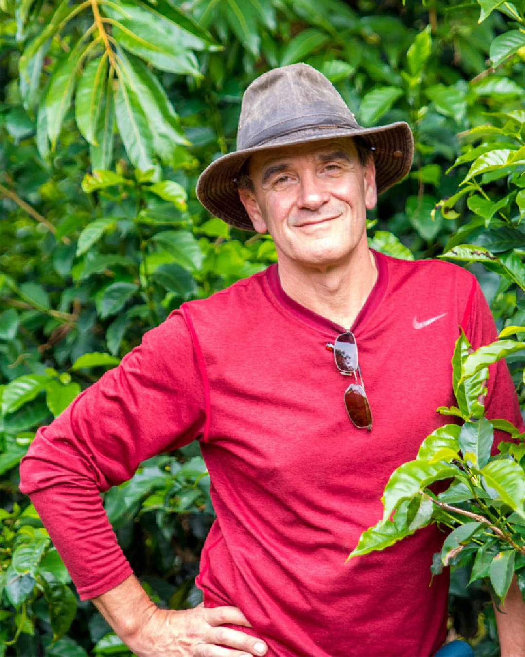 Finca Sophia GN Lot FS9225 Essence Collection