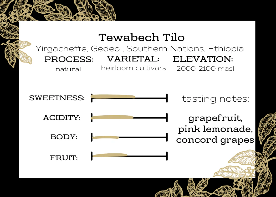 Ethiopia | Tewabech Tilo
