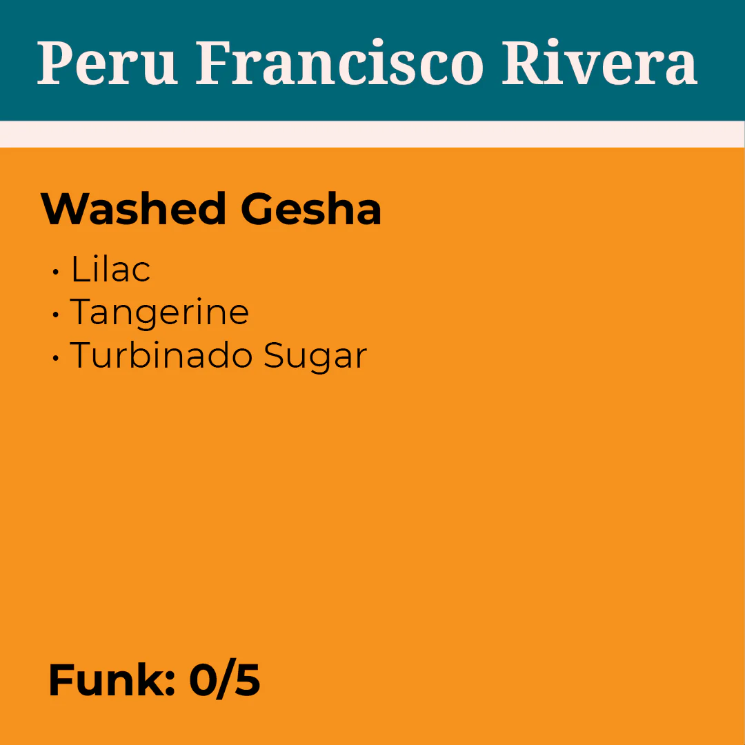 Peru Francisco Rivera Washed Gesha