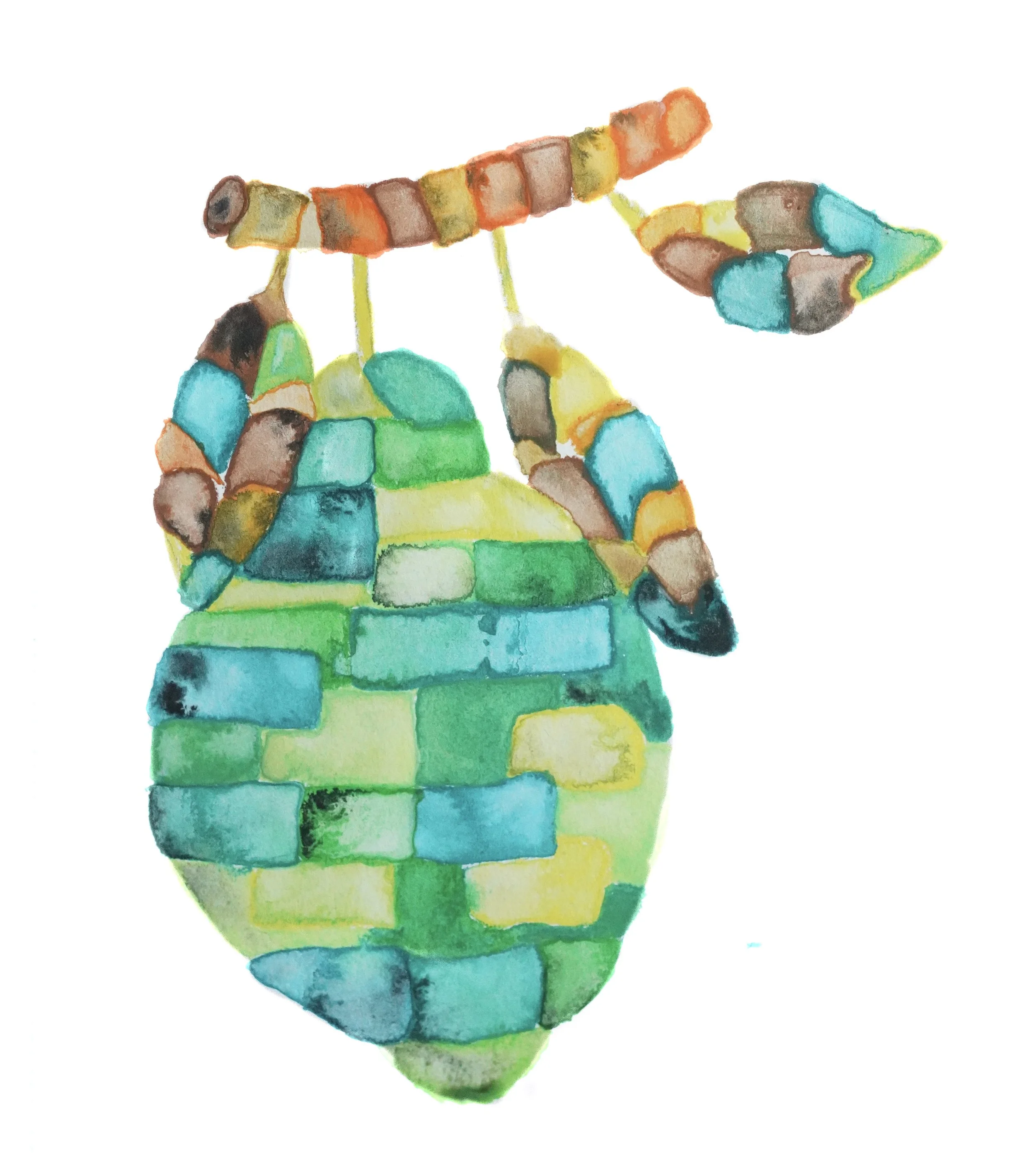 Paola Trujillo • Washed Anaerobic • Typica • Colombia