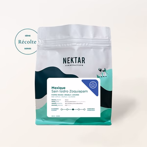 Mexico - San Isidro Zoquiapam