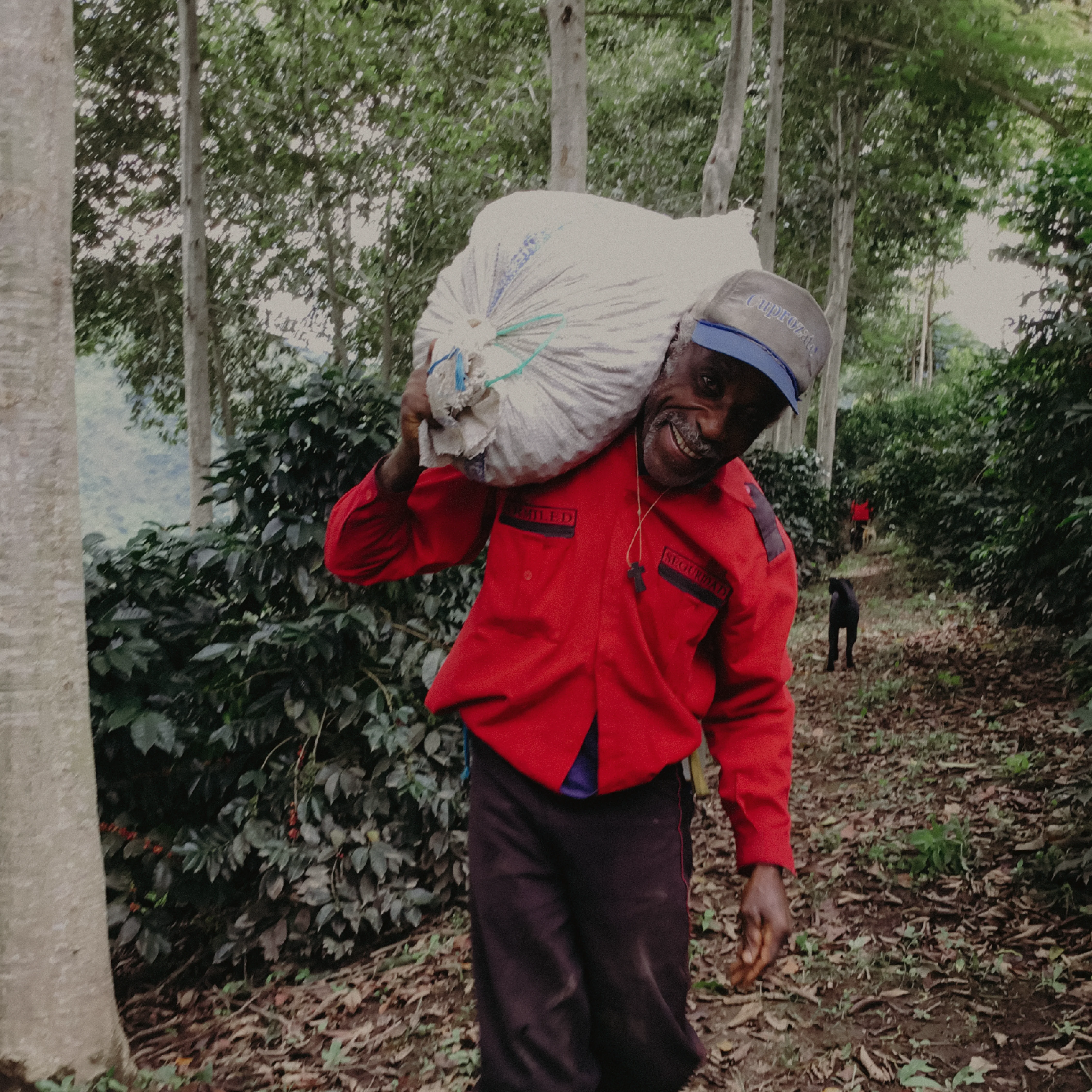 Ecuador Finca Soledad