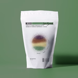 MEXICO DIONISIA DOMINGUEZ YESCAS