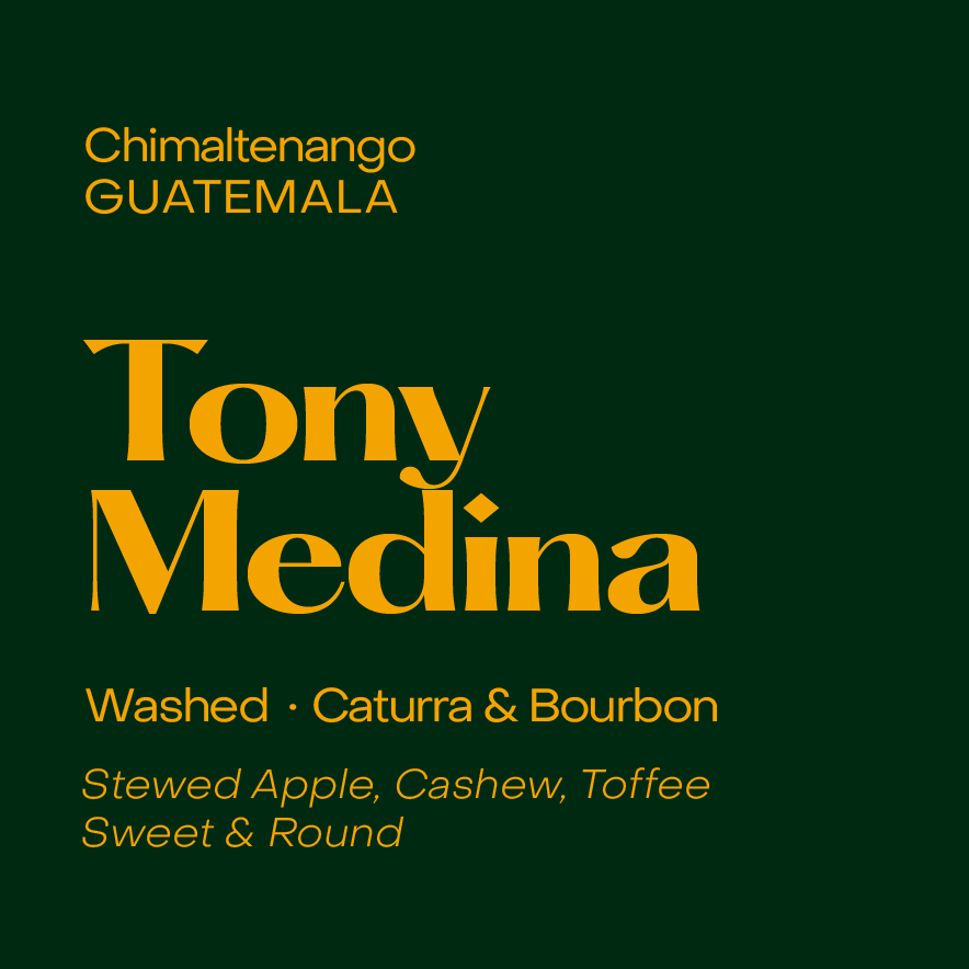 Guatemala Tony Medina Early Harvest Espresso, Washed Caturra & Bourbon
