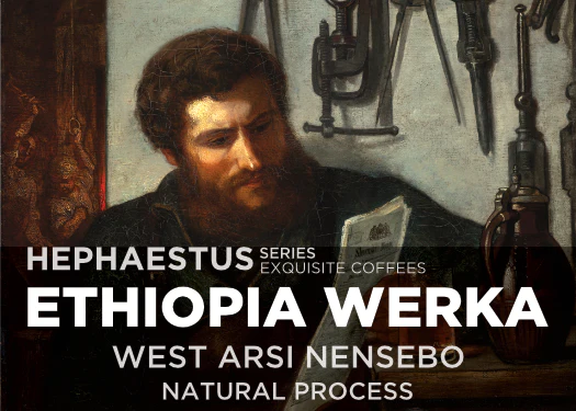ETHIOPIA WERKA NATURAL, NENSEBO WEST ARSI (HEPHAESTUS SERIES)
