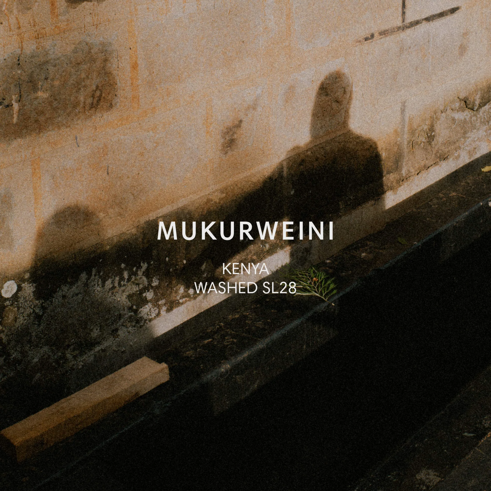 Mukurweini Washed