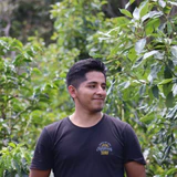 Familia Tocto - Peru