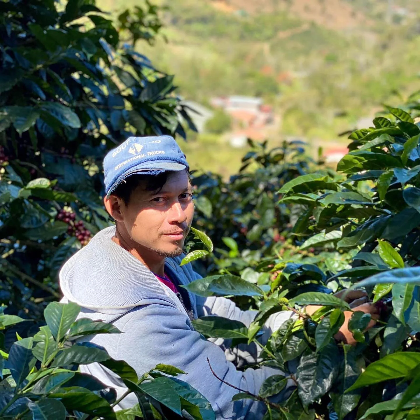 Don Alexis Catuai - Costa Rica