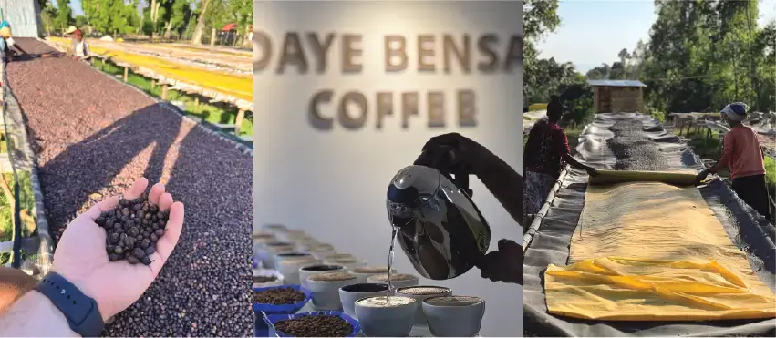 Ethiopia Odako & Duwancho