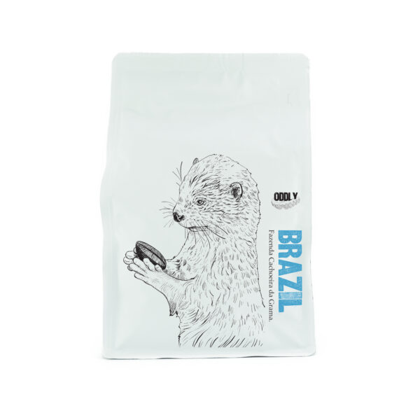 BRAZIL FAZENDA CACHOEIRA DA GRAMA