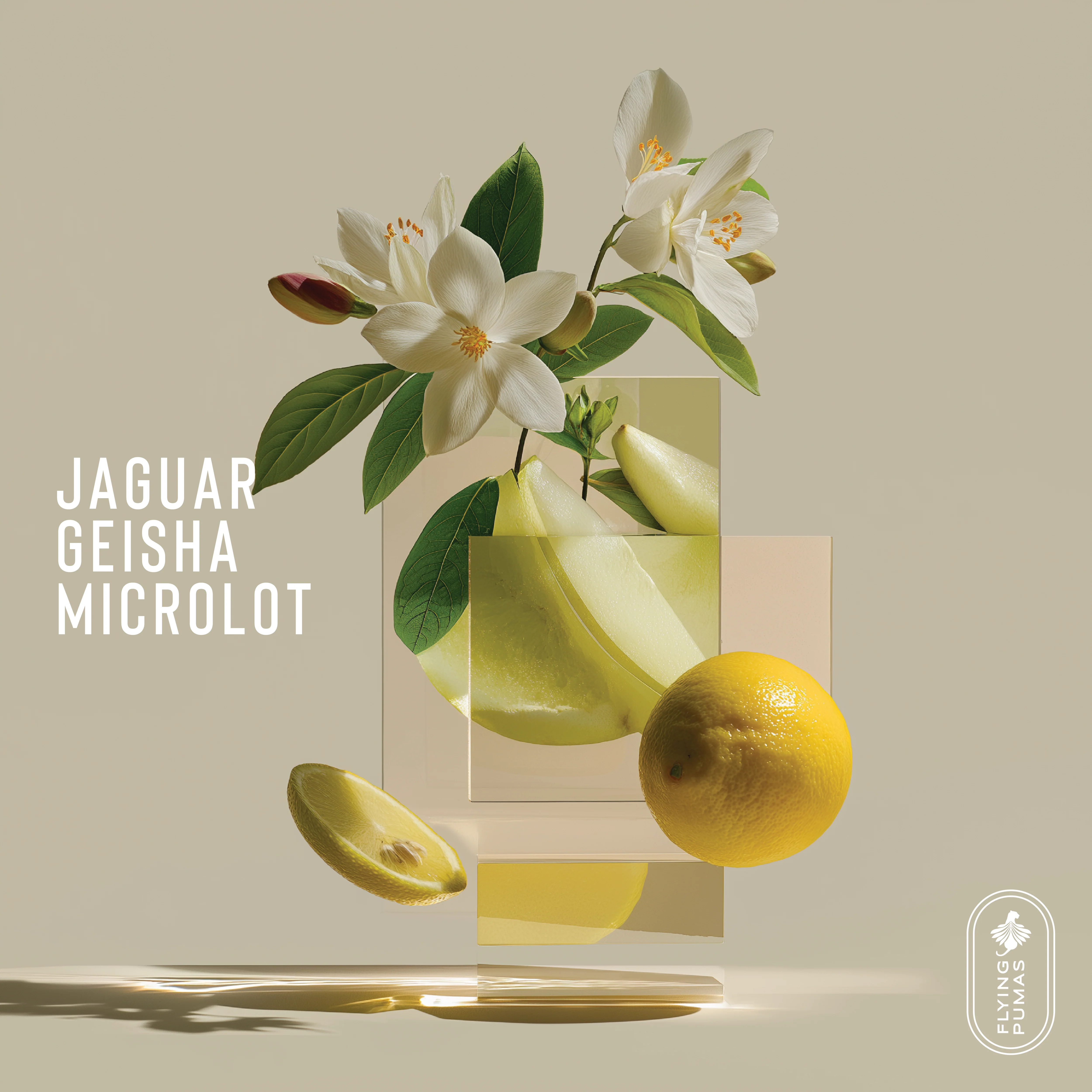 Jaguar Geisha Microlot - Panama