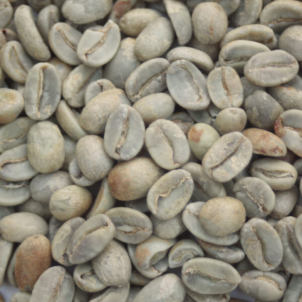 Mexico: Organic Cepco Oaxaca, Oaxaca (Green)