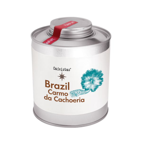 Carmo da Cachoeria – Brazil – Microlot